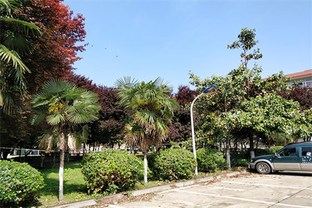 检察院家属院2室2厅1卫49㎡